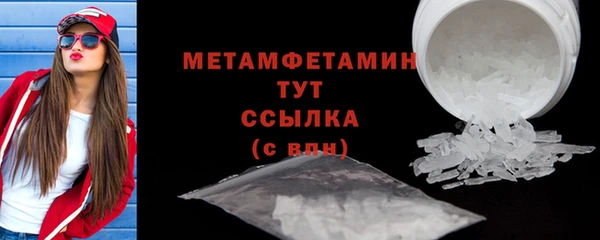 индика Богданович