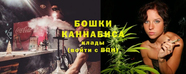 индика Богданович